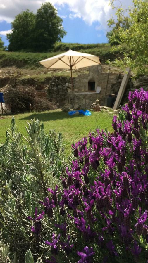 Il Borghetto Di Carra Apartment Talla Ngoại thất bức ảnh
